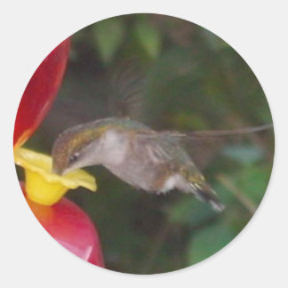 Pegatina Redonda Tiempo de comer