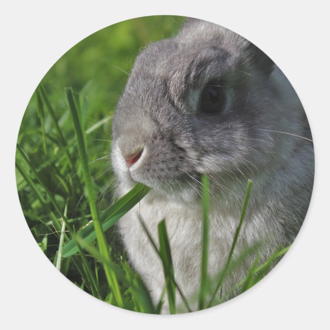 Pegatina Redonda Tiempo del bocado (Anverso)