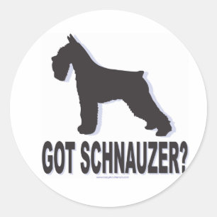Pegatina Redonda ¿Tienes a Schnauzer?