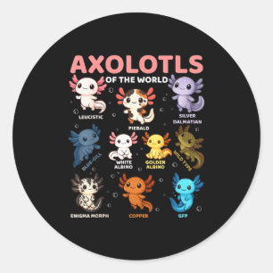 Pegatina Redonda Tiernos Axolotls Kawaii Del Mundo Divertido Ty Axo