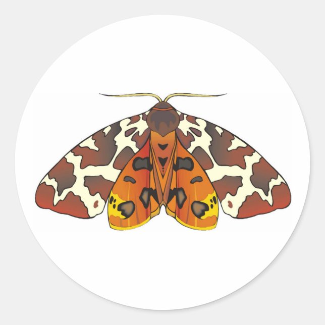 Pegatina Redonda Tiger Moth (Anverso)