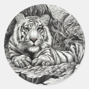 Pegatina Redonda TIGRE BLANCO de Diana S Martin