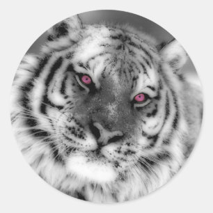 Pegatina Redonda Tigre Ojo Rosa