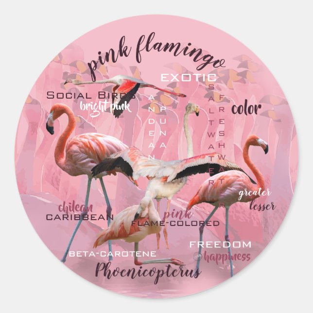 Pegatina Redonda Tipografía de flamingo rosa | Personalizado (Anverso)