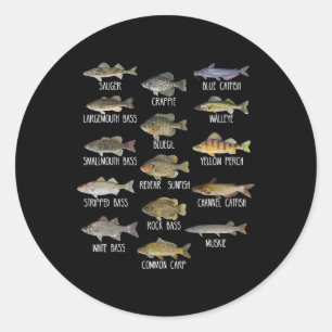 Pegatina Redonda Tipos de especies de peces de agua dulce Biología 