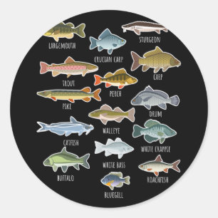 Pegatina Redonda Tipos de especies de peces de agua dulce Pesca