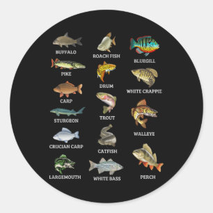 Pegatina Redonda Tipos de especies de peces de agua dulce Pesca Pes