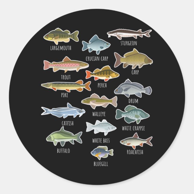 Pegatina Redonda Tipos De Especies De Pescado De Agua Dulce (Anverso)