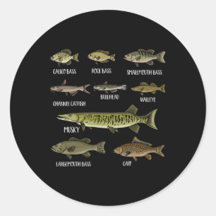 Pegatina Redonda Tipos de peces de agua dulce Clasificación Especie