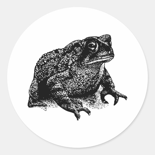 Pegatina Redonda Toad (Anverso)