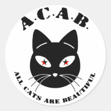 Todos los gatos son hermosos