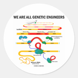 Pegatina Redonda Todos Somos Ingenieros Genéticos (RNA Splicing)