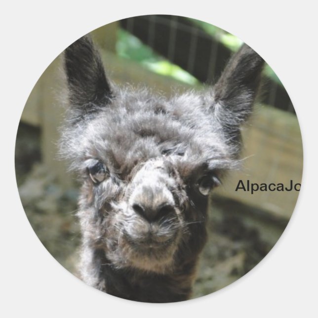 Pegatina Redonda Tormenta (Anverso)