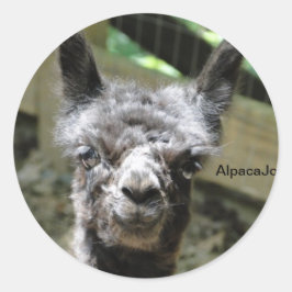 Pegatina Redonda Tormenta