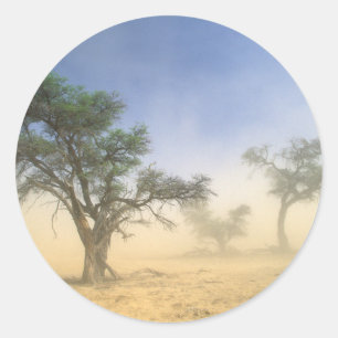 Pegatina Redonda Tormenta de arena en el desierto de Kalahari, Kgal