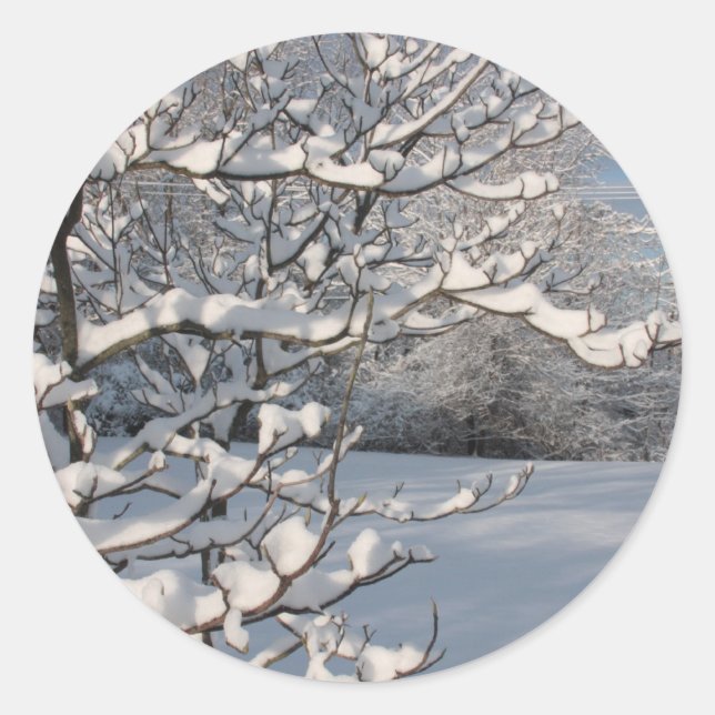 Pegatina Redonda Tormenta de invierno (Anverso)