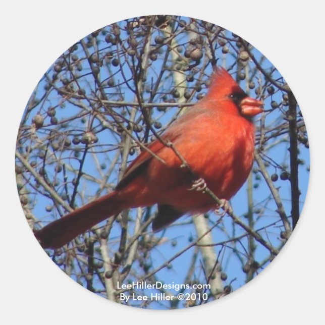 Pegatina Redonda Torneos de montaña Hot Springs Promenade Cardinal  (Anverso)