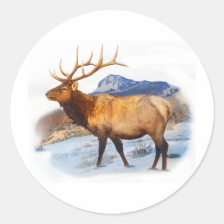 Pegatina Redonda toro elk t idea.pdf