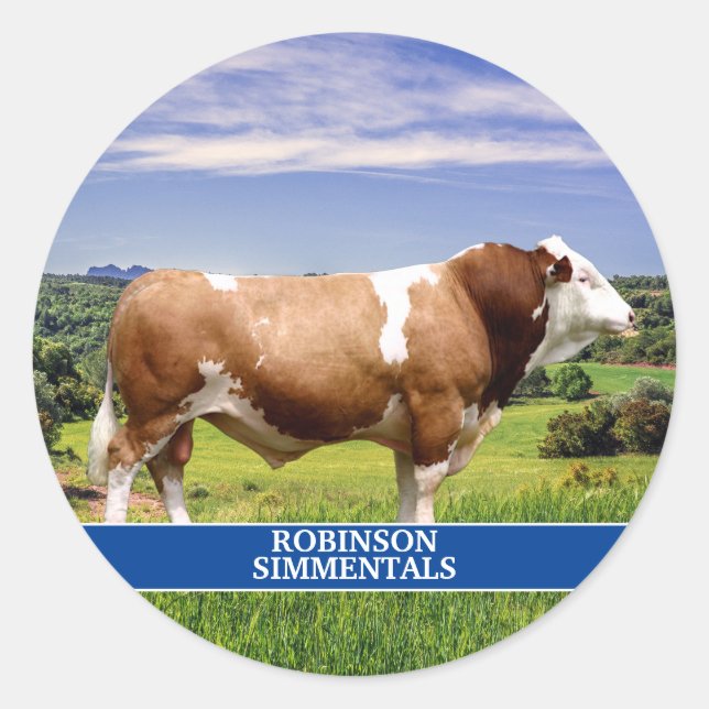 Pegatina Redonda Toro Simmental en Pasto (Anverso)