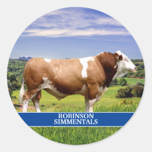 Pegatina Redonda Toro Simmental en Pasto