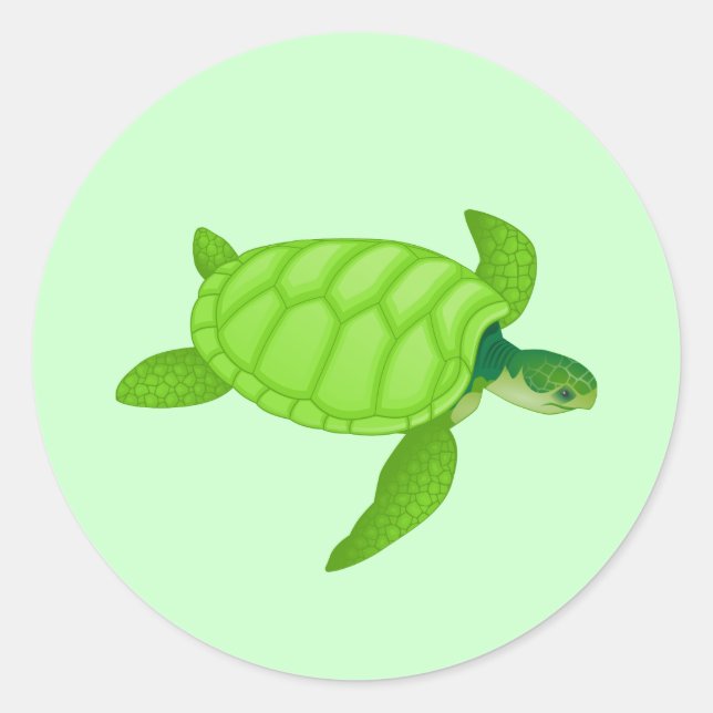 Pegatina Redonda Tortuga marina (Anverso)