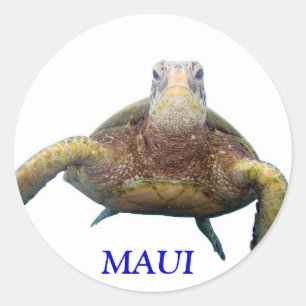 Pegatina Redonda Tortuga, tortuga, MAUI