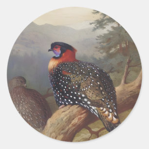 Pegatina Redonda Tragopan occidental, Ilustraciones de aves