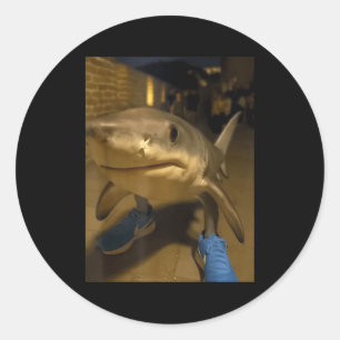 Pegatina Redonda Tralalero tralala tiburón meme