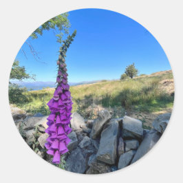 Pegatina Redonda Tranquilidad del campo inglés