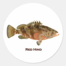 Pegatina Redonda Trasero rojo
