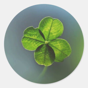 Pegatina Redonda Trebol de Cuatro Hojas Lucky Green