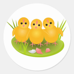 Pegatina Redonda Tres gallinas amarillas felices de Pascua