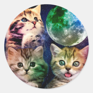 Pegatina Redonda Tres gatos y la luna