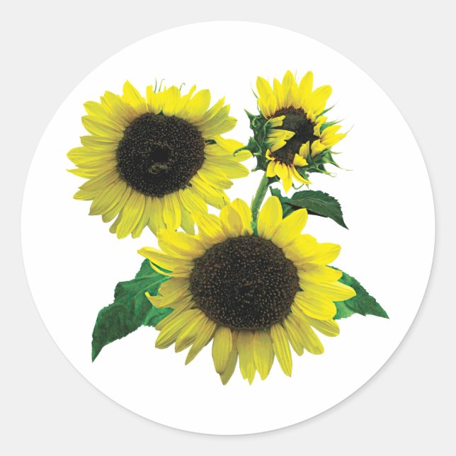 Pegatina Redonda Tres girasoles (Anverso)