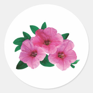 Pegatina Redonda Tres Petunias Rosadas