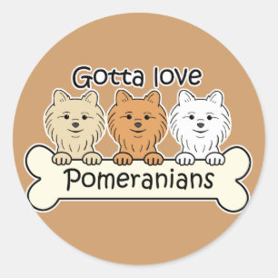 Pegatina Redonda Tres Pomeranians
