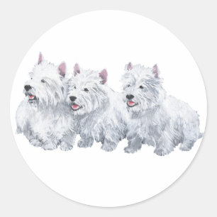 Pegatina Redonda Tres West Highland White Terriers