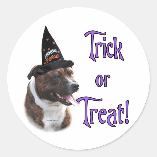Pegatina Redonda Trick de Staffordshire Bull Terrier (Anverso)