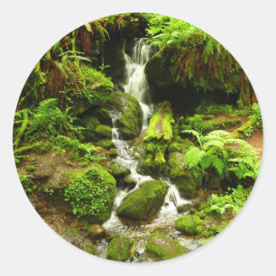 Pegatina Redonda Trillium Falls en el Parque Nacional Redwood