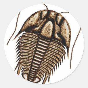 Pegatina Redonda Trilobita
