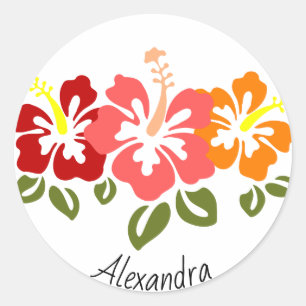 Pegatina Redonda Trío colorido del hibisco personalizado