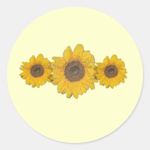 Pegatina Redonda trío de girasol