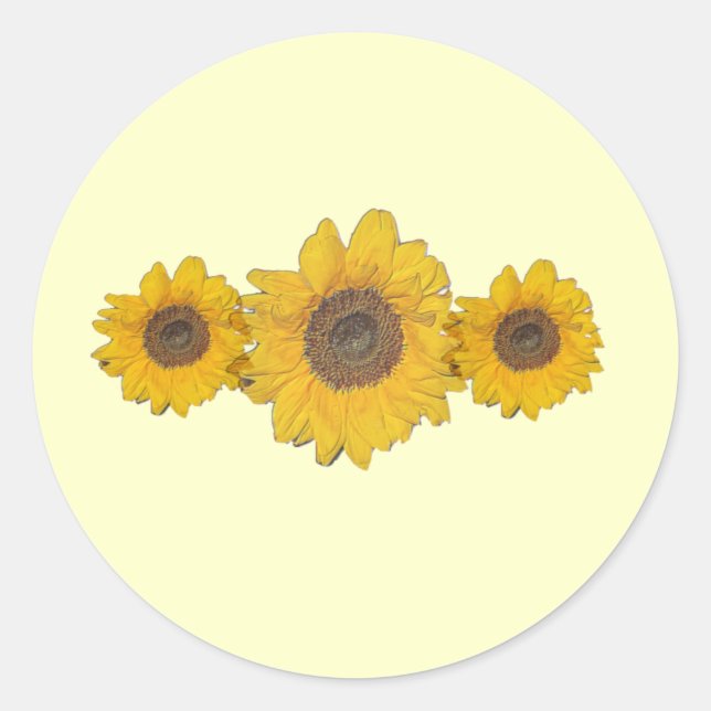 Pegatina Redonda trío de girasol (Anverso)