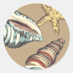 Pegatina Redonda Trío Shell en Khaki