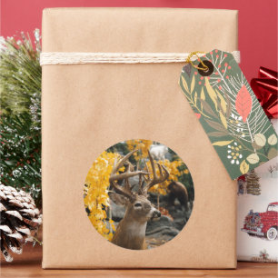 Pegatina Redonda Trophy Deer