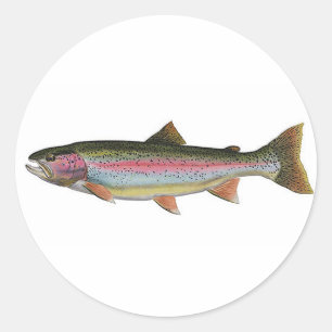 Pegatina Redonda Trucha arco iris