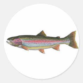 Pegatina Redonda Trucha arco iris