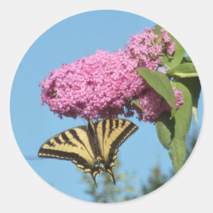 Pegatina Redonda Truco de tigre amarillo contra la mariposa rosa