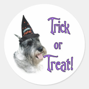 Pegatina Redonda Truco del Schnauzer estándar