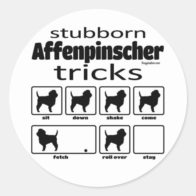 Pegatina Redonda Trucos de Affenpinscher obstinados (Anverso)